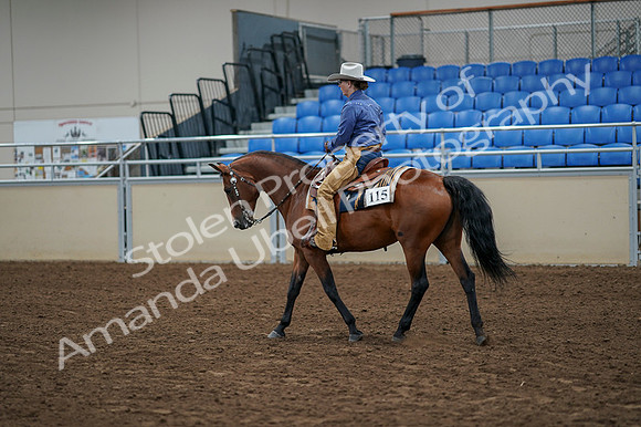 2020 - AB Morgan Horse - Fri, Sept 04 - 00181