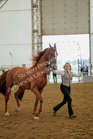 July 19, 2019 - 1100