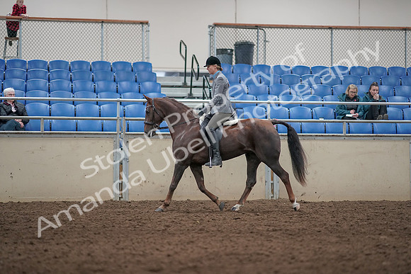 2019 Morgan Horse Show - Aug 31, 2019 - 07261