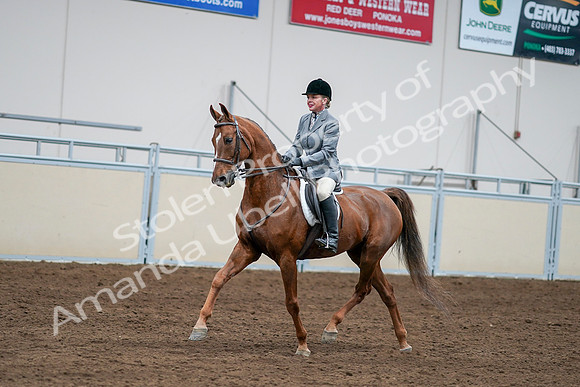 2020 - AB Morgan Horse - Sat, Sept 05 - 03275