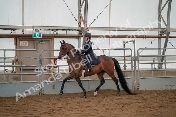 July 20, 2019 - 03605