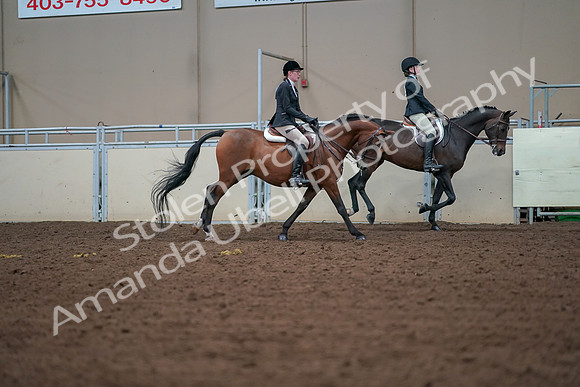 2019 Morgan Horse Show - Aug 30, 2019 - 21001