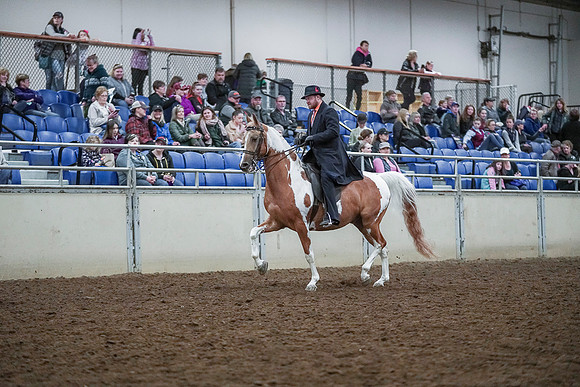 Spring Fling - Saturday - April 20, 2019  -  00648