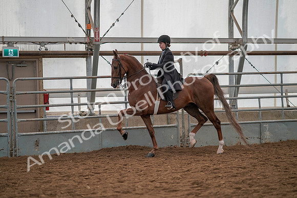 July 19, 2019 - 12946