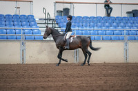 2019 Morgan Horse Show - Sept 01, 2019 - 03660