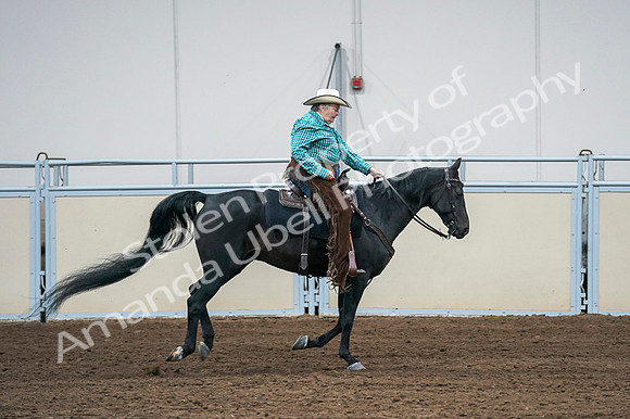 2020 - AB Morgan Horse - Fri, Sept 04 - 00488