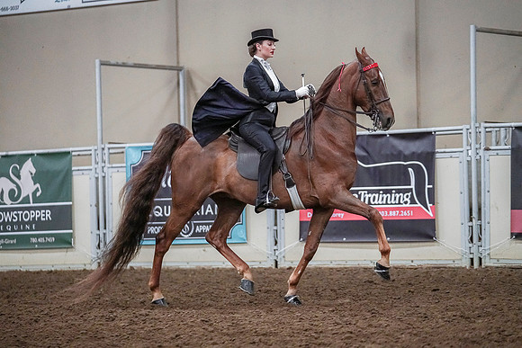Spring Fling - Saturday - April 20, 2019  -  04177