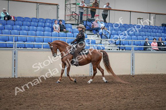 2020 - AB Morgan Horse - Fri, Sept 04 - 08333