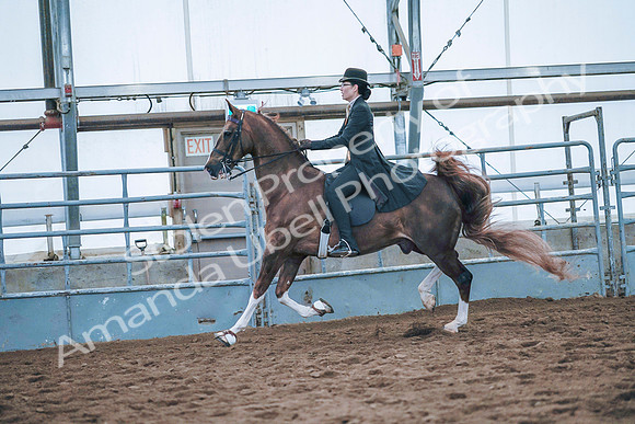 July 20, 2019 - 24152