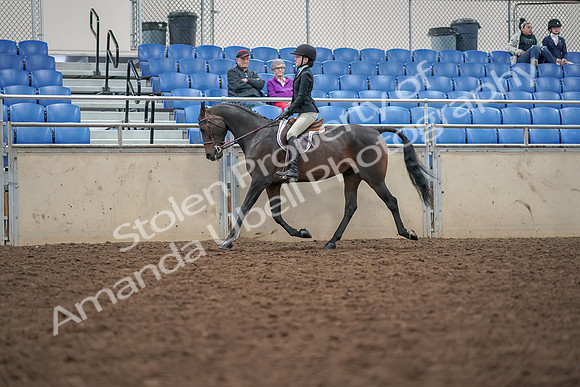 2019 Morgan Horse Show - Aug 30, 2019 - 20306