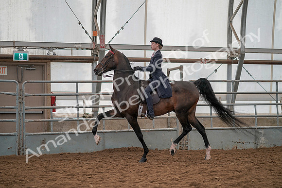 July 19, 2019 - 12910