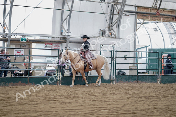 July 21, 2019 - 06503