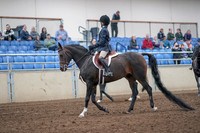 2019 Morgan Horse Show - Aug 31, 2019 - 19380
