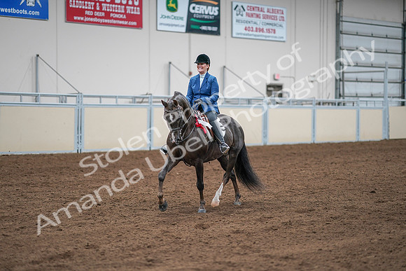 2020 - AB Morgan Horse - Sat, Sept 05 - 05252