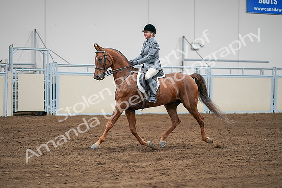 2020 - AB Morgan Horse - Sat, Sept 05 - 03289