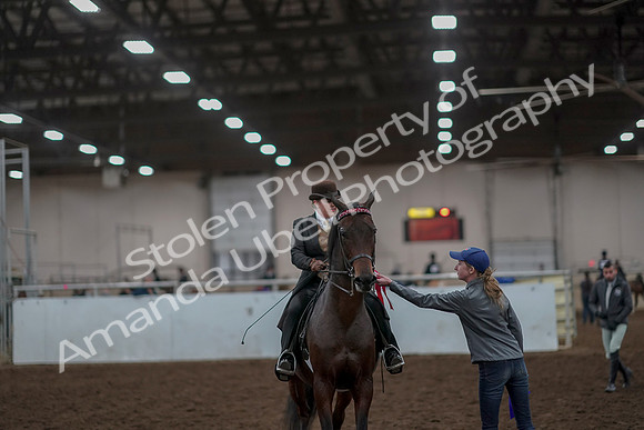 2019 Morgan Horse Show - Aug 30, 2019 - 28270