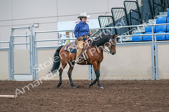 2020 - AB Morgan Horse - Fri, Sept 04 - 00194