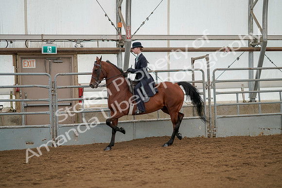 July 20, 2019 - 04419