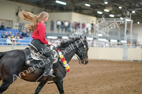 2020 - AB Morgan Horse - Sat, Sept 05 - 10585