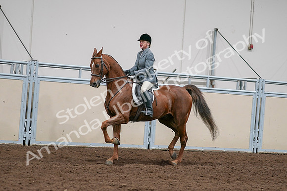 2020 - AB Morgan Horse - Sat, Sept 05 - 03032