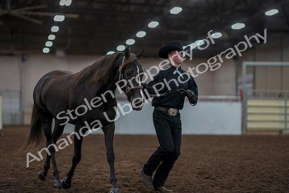 2019 Morgan Horse Show - Aug 31, 2019 - 01913