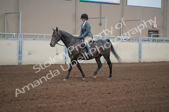 2019 Morgan Horse Show - Sept 01, 2019 - 10948
