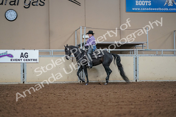 2019 Morgan Horse Show - Aug 30, 2019 - 16823