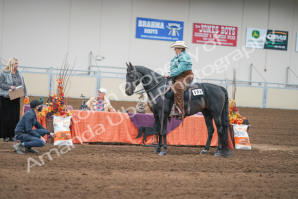 2020 - AB Morgan Horse - Sun, Sept 06 - 01665