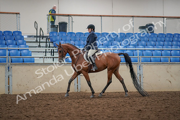 2019 Morgan Horse Show - Aug 30, 2019 - 22266
