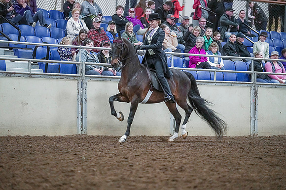 Spring Fling - Saturday - April 20, 2019  -  00481