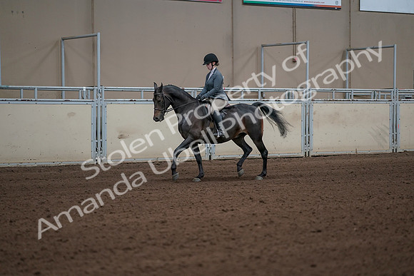 2019 Morgan Horse Show - Sept 01, 2019 - 10904_1