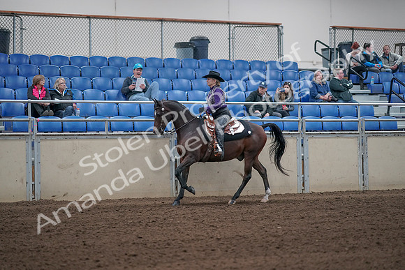 2019 Morgan Horse Show - Aug 31, 2019 - 10625