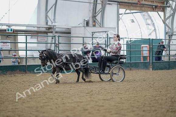 July 21, 2019 - 05979