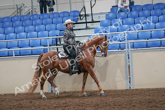 2020 - AB Morgan Horse - Sun, Sept 06 - 07548