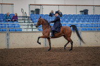 2019 Morgan Horse Show - Aug 30, 2019 - 28366