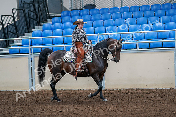 2020 - AB Morgan Horse - Fri, Sept 04 - 00103