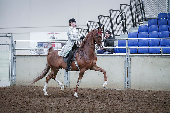 Spring Fling - Saturday - April 20, 2019  -  00577
