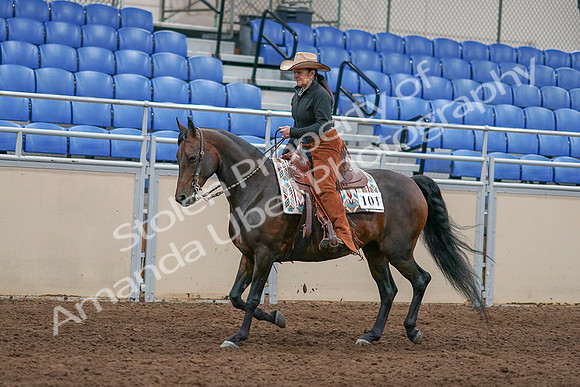 2020 - AB Morgan Horse - Sun, Sept 06 - 01603
