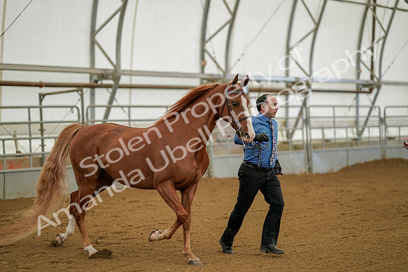 July 19, 2019 - 895