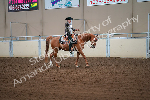 2019 Morgan Horse Show - Aug 30, 2019 - 16914