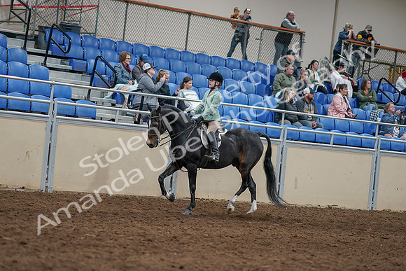 2020 - AB Morgan Horse - Sun, Sept 06 - 07794