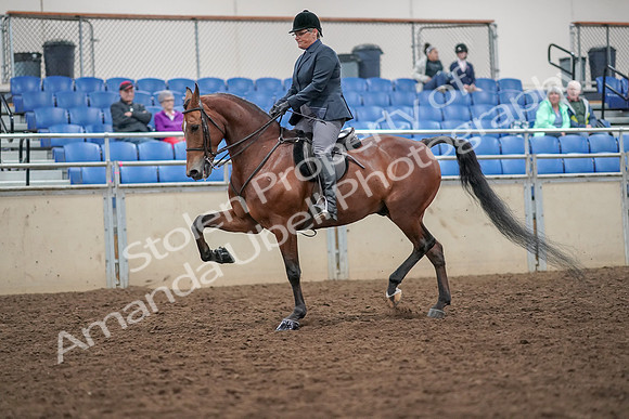 2019 Morgan Horse Show - Aug 30, 2019 - 20366