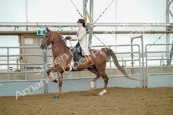 July 20, 2019 - 07858
