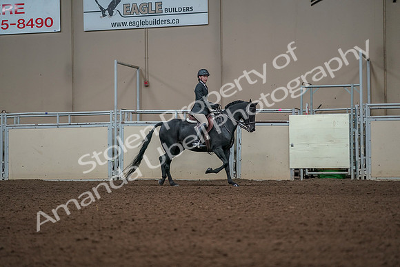 2019 Morgan Horse Show - Aug 31, 2019 - 05173