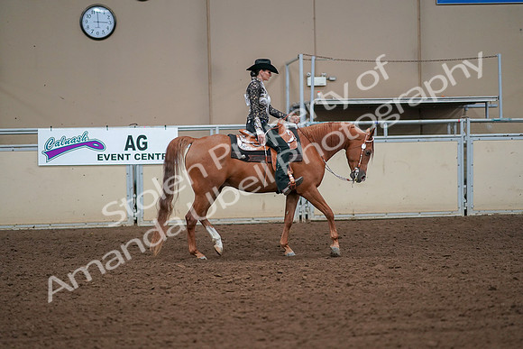2019 Morgan Horse Show - Aug 30, 2019 - 17027