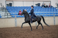 2019 Morgan Horse Show - Aug 31, 2019 - 18010
