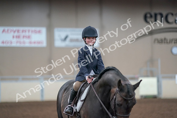 2019 Morgan Horse Show - Aug 31, 2019 - 19714
