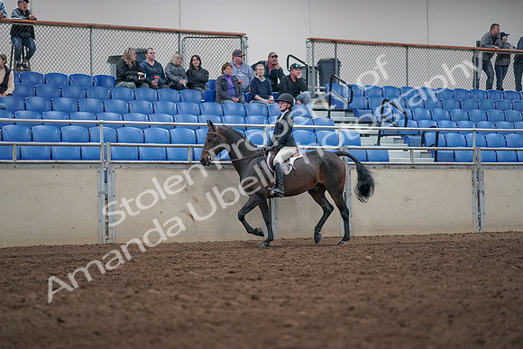2019 Morgan Horse Show - Aug 31, 2019 - 20414