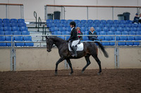 2019 Morgan Horse Show - Aug 31, 2019 - 16493