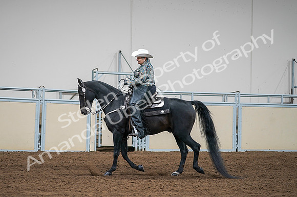 2020 - AB Morgan Horse - Fri, Sept 04 - 03608